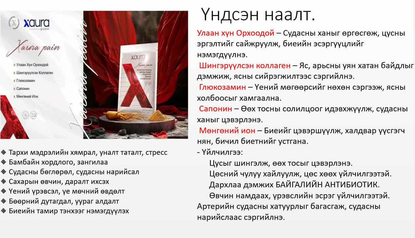 Үндсэн наалт X-Pain 